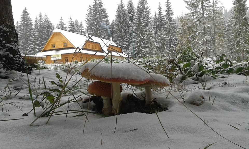 Koliba Ski Grúniky Sihelné Exterior foto